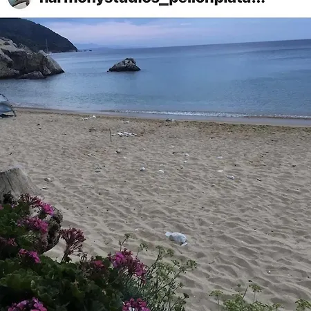 Harmony Seaside Pelion Διαμέρισμα *