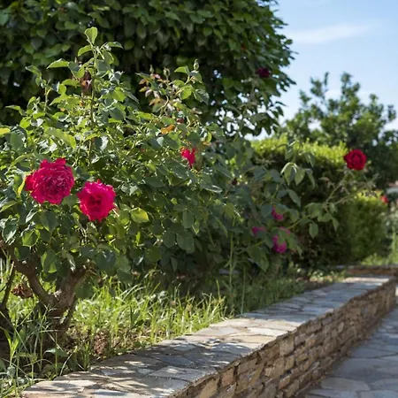 Harmony Seaside Pelion