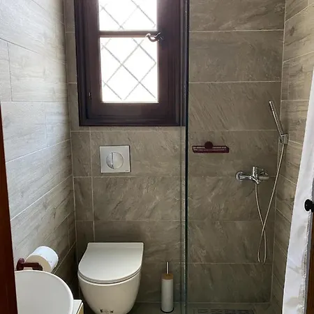 Apartment Harmony Seaside Pelion Platanias (Thessaly)